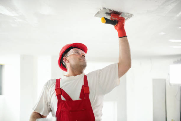 Best Ceiling Drywall Installation  in South Bend, WA